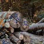 digital keyword classification log identifiers and names